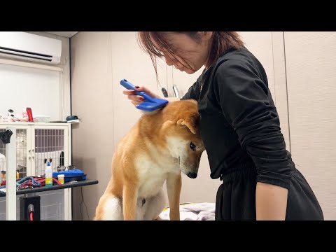 なんで落ち込むのよw(YouTube)