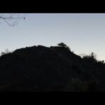 動物園の初日の出2025 first sun rise(YouTube)