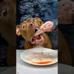 アヒルの頭を美味しそうに食べる咀嚼音(YouTube)