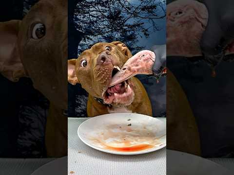 アヒルの頭を美味しそうに食べる咀嚼音(YouTube)