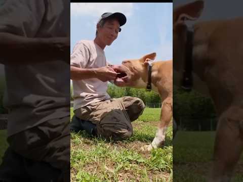 ポテトとレバーハード(YouTube)