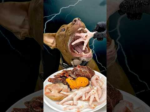 0.5秒で終わる生肉(YouTube)