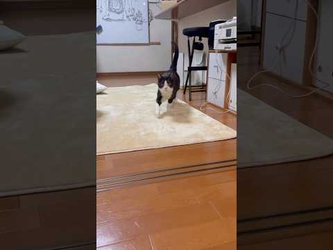 来てくれた(YouTube)