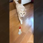 さすがです(YouTube)