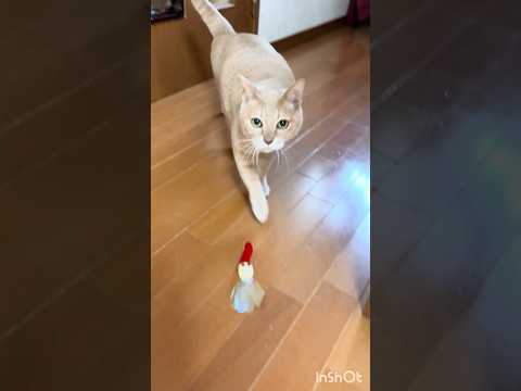 さすがです(YouTube)