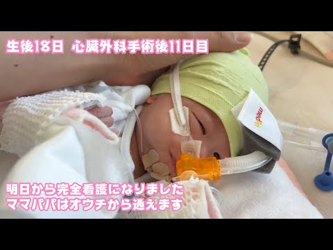 生後17日  心臓外科手術後11日目  明日からママパパはオウチから通えます  順調ですよ～   2026 01 31 2(YouTube)