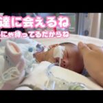 猫達に会えるね  みんにゃまってるだからね  毎日応援ありがとうございます  2026 01 24 2(YouTube)