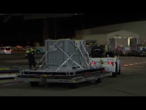 上野動物園のジャイアントパンダ「シャオシャオ」「レイレイ」、成田国際空港での搭載のようす（2026年1月27日撮影）(YouTube)