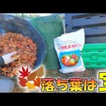 もみじの落ち葉で堆肥づくり🍁ゴミにせず土に還す家庭菜園の循環(YouTube)