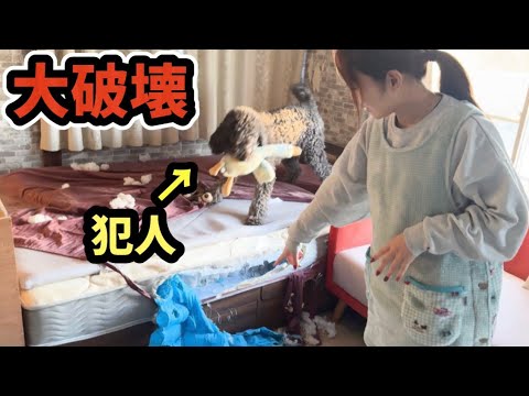 家を破壊されても絶対怒らないママが怖すぎたw(YouTube)