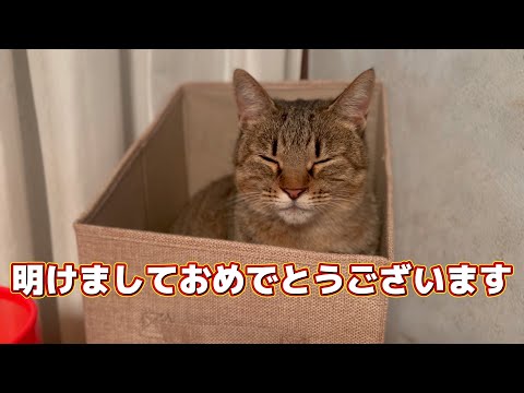 明けましておめでとうございます　2026年の目標は！？(YouTube)