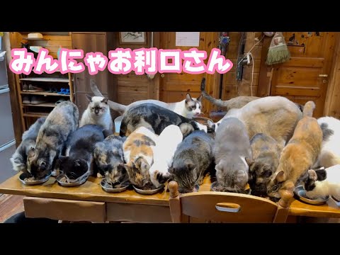 みんにゃお利口さんにしてくれてます  2026 01 21 2(YouTube)