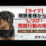 【ライブ】視聴者様からのしつけ・問題行動の相談　16時より一般・17時よりメンバー様(YouTube)