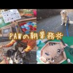 【密着】PAWの飼育員にカメラをつけて朝作業を覗いてみたら、動物たちが可愛すぎた🐕【作業用にも】(YouTube)