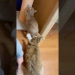 ヒットアンドアウェイ(YouTube)