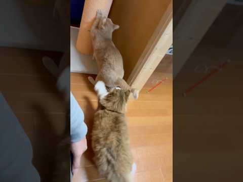 ヒットアンドアウェイ(YouTube)