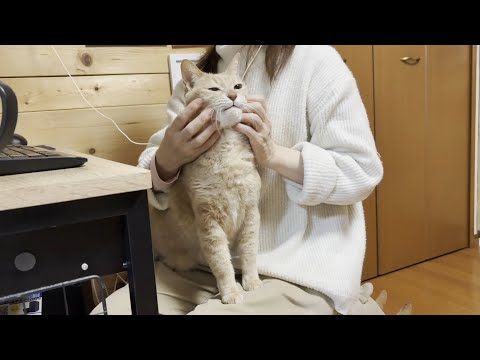 人目を気にして思い存分甘えられない猫(YouTube)