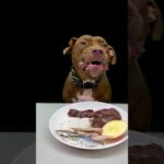 肉よりもりんごをしっかり噛み砕くピットブルが可愛いすぎる(YouTube)