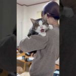 抱っこエエやろ(YouTube)