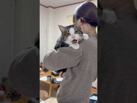 抱っこエエやろ(YouTube)