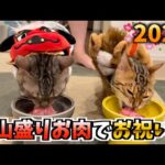 年明けの初ご飯をお肉だけにしたら、食欲が止まらないルトとロゼ(YouTube)
