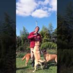 ややこし過ぎるオヤツタイム(YouTube)