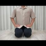 【残念なご報告】子猫の譲渡に失敗してしまいました。(YouTube)