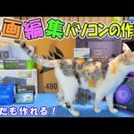 動画編集者は習得必須‼編集用自作パソコンの作り方を実演＆徹底解説🖥😊(YouTube)
