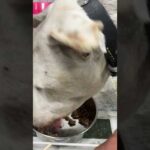 ご心配おかけしております(YouTube)