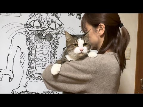 お父さんが帰りが嬉しくて擦って舐める猫(YouTube)