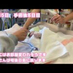 明日にはお部屋が変われそうです  生後15日 手術後8日目   2026 01 28 2(YouTube)