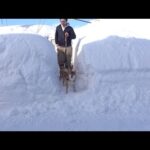 大雪予報の朝、想像とは違う景色が広がっていました(YouTube)