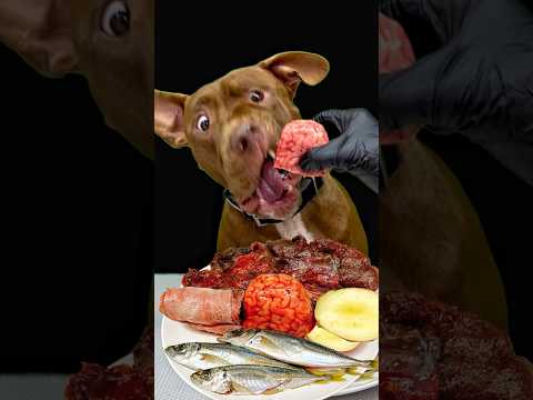 珍しい食材をうまそうに食べるダギーさん(YouTube)