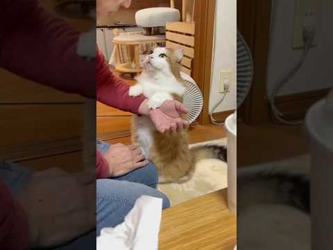 どうしてほしいと思う？(YouTube)