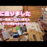 ビビ空に還りました  静かな夜を過ごそうと思ったんですがwww  応援有難うございました(YouTube)