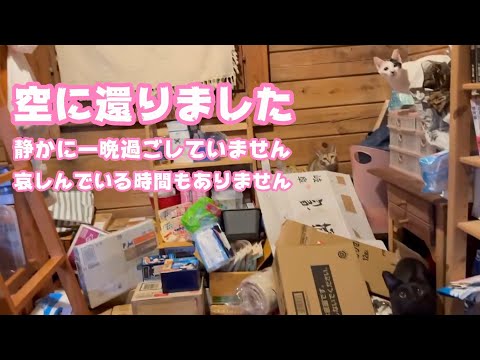 ビビ空に還りました  静かな夜を過ごそうと思ったんですがwww  応援有難うございました(YouTube)