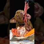 鶏ガラを食べる音がたまらなく気持ちいい(YouTube)