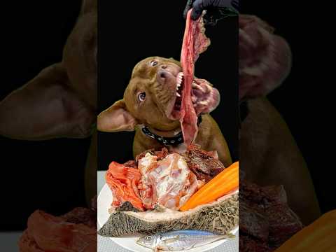 鶏ガラを食べる音がたまらなく気持ちいい(YouTube)