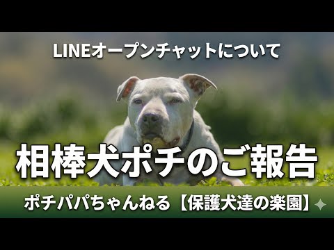 【ライブ】相棒犬ポチのご報告とLINEオープンチャットについて(YouTube)