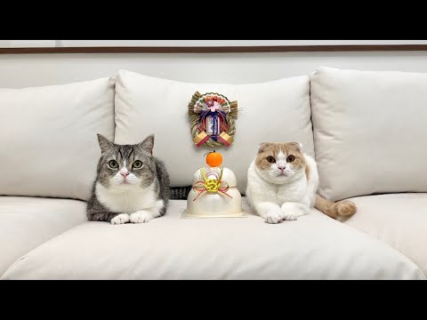 今年の活動について大事なご報告があります。(YouTube)