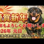 【謹賀新年】本年もよろしくお願い致します(YouTube)