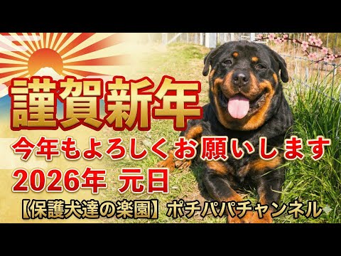 【謹賀新年】本年もよろしくお願い致します(YouTube)