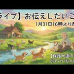 【ライブ】お伝えしたいこと　1月31日16時より配信(YouTube)