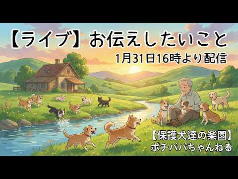 【ライブ】お伝えしたいこと　1月31日16時より配信(YouTube)