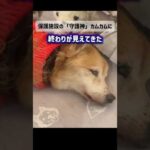 命の灯火が消える前に遺したい（画質音声悪いです）(YouTube)