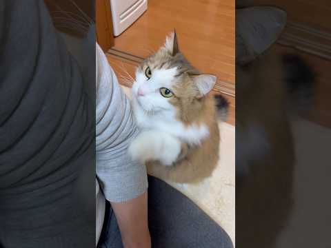 ちょっと浅かった？(YouTube)