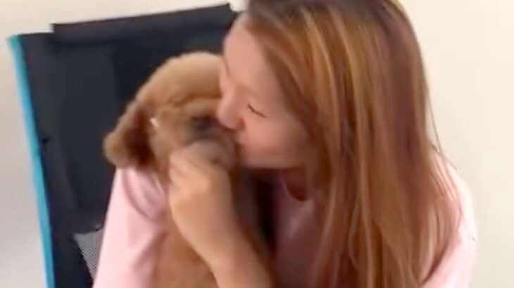 ママやお姉ちゃんと『チュー』を犬→パパもしてもらおうとしたら…辛辣すぎる『態度の急変』が87万再生「激おこで草」「ワロタｗｗ」と爆笑続々(ブログ)