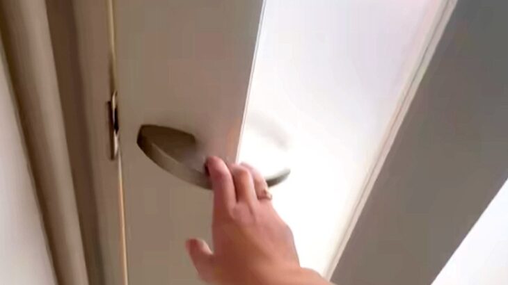 愛犬たちと『3秒間だけ』離れてみた結果→ドアを開けた瞬間に…予想を超える反応が愛おしすぎると6万再生「可愛いが渋滞」「最高な空間」と絶賛(ブログ)