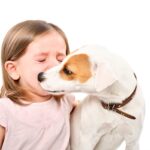 愛犬がみせる『健気な行動』6つ　飼い主のために一生懸命なワンコの心理まで解説(ブログ)