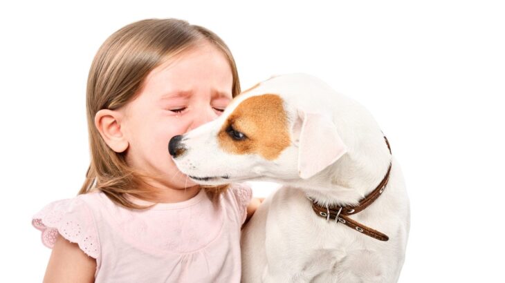 愛犬がみせる『健気な行動』6つ　飼い主のために一生懸命なワンコの心理まで解説(ブログ)